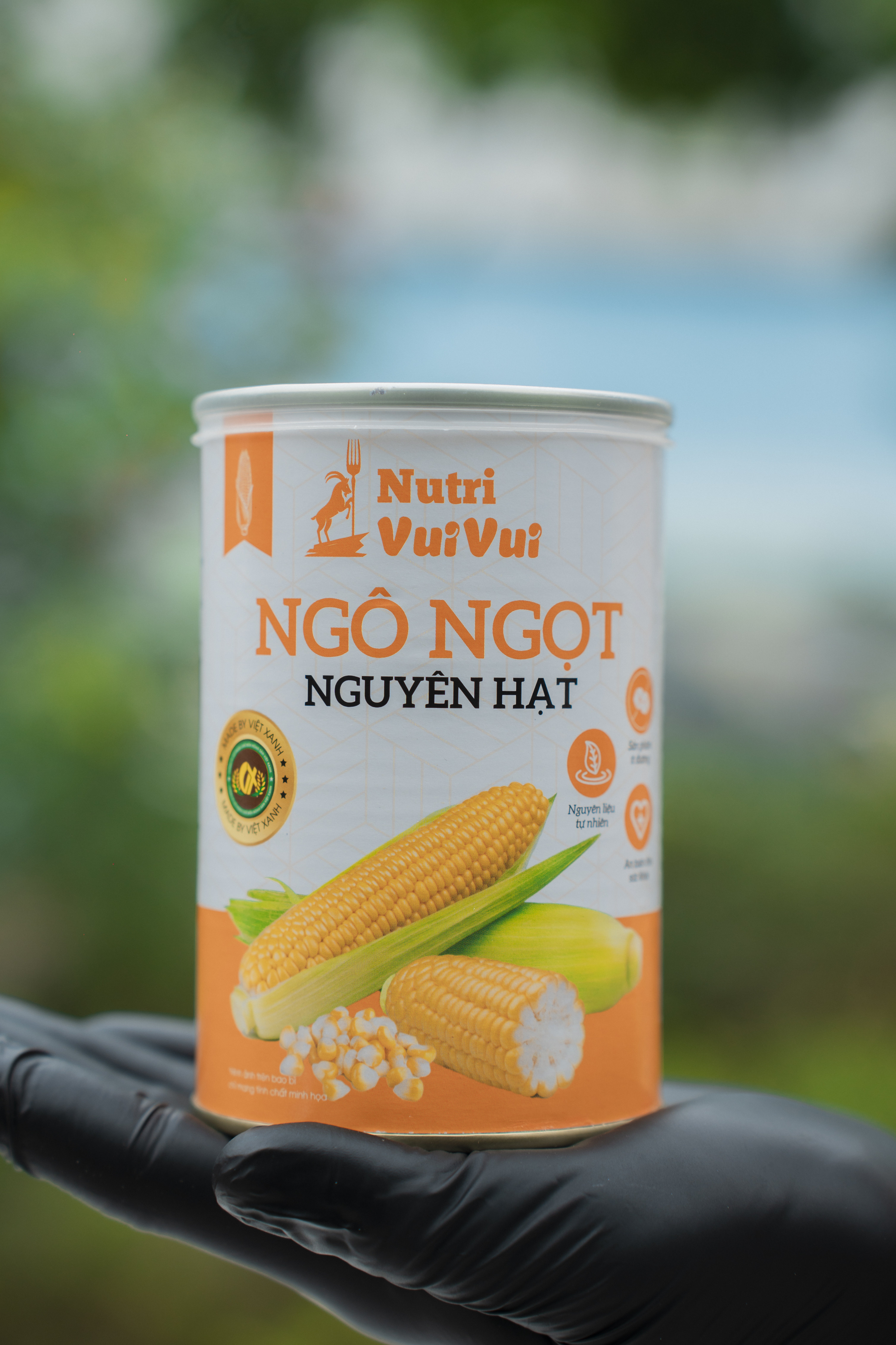 NGÔ NGỌT NGUYÊN HẠT